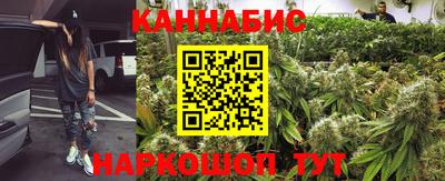 мет Можга
