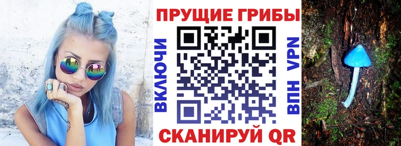 ссылка на мегу ТОР  Балашов  Галлюциногенные грибы прущие грибы 