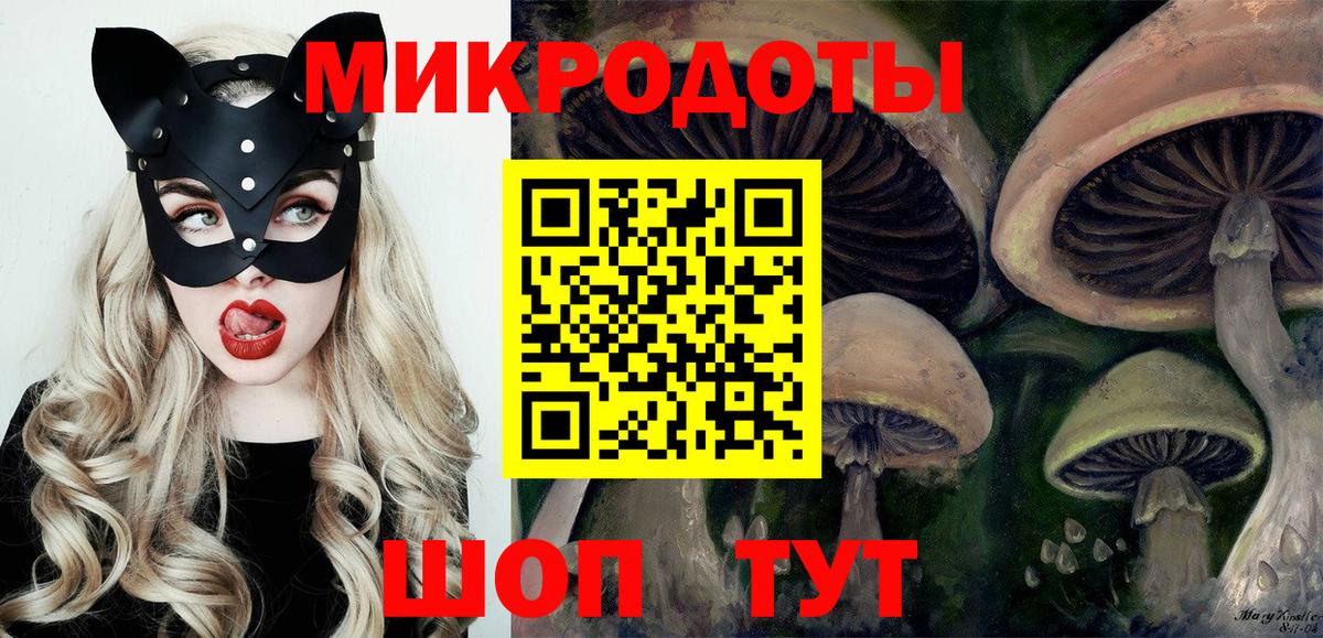 Балашов  цена   Вход с VPN  Псилоцибиновые грибы Psilocybe 