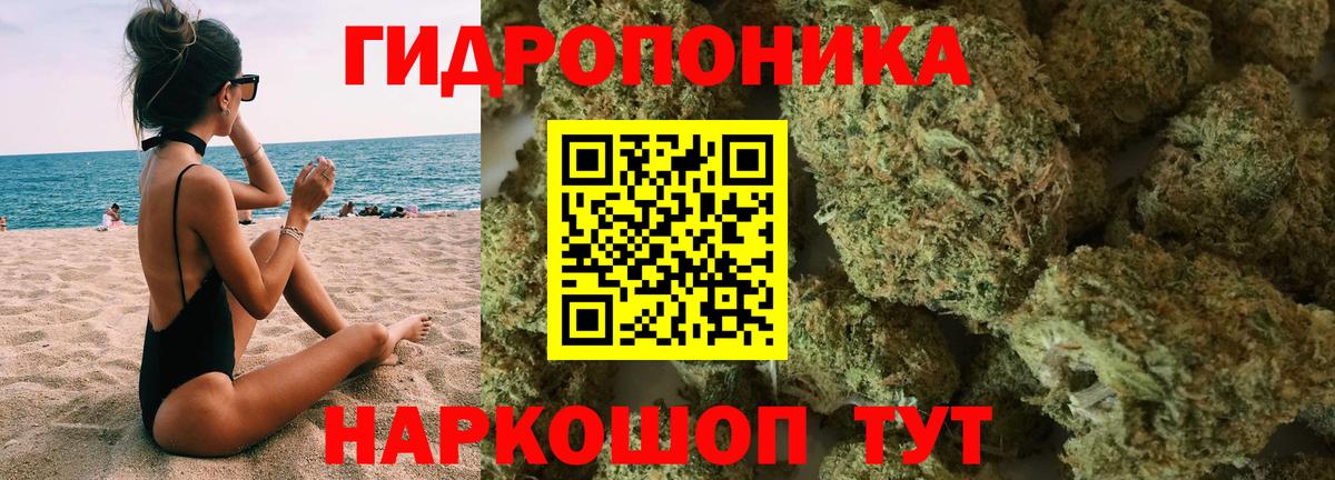 Каннабис гибрид Балашов